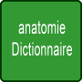 icon Anatomie Dictionnaire