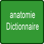 icon anatomieapp