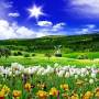 icon Spring Nature Live Wallpaper