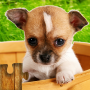 icon Dogs Jigsaw Puzzle Game Kids