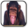 icon Monkey sounds