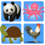 icon Animal Memory Game
