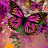 icon abstract butterflies wallpaper 10.02