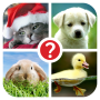 icon Guess the word ~ 4 Pics 1 Word