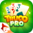 icon Truco Pro 2.2