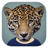 icon Animal Face 2.5.3.v7a