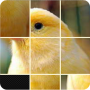 icon Nice Puzzle