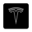 icon Inside Tesla 2021.6.4