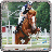 icon Horse Jump Show 1.2