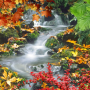 icon Forest, waterfall, lake