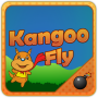 icon Kangoo Fly