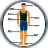 icon HumanBodyFacts 3.2