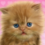 icon Baby Cat