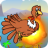 icon Slingshot Turkey 1.0.0