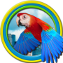 icon Flappy Parrot