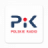 icon Radio PiK 2.0.3