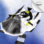 icon BobSleigh eXtreme