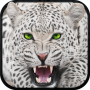 icon Wild Snow Leopard Survival Sim