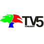 icon TV5 Cablesat Luque