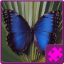 icon Butterfly Puzzle