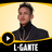 icon L-Gante Collection 1.0