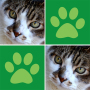 icon Cats Memory Match