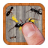 icon Ant Smasher 9.83