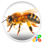 icon Bee