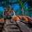 icon The Tiger 1.1.5