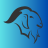icon BULL VPN 5.0.0