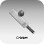 icon Cricket News and Headlines