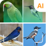 icon Bird identifier