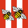 icon Brentford FC programmes