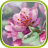 icon Cherry Blossom Live Wallpaper 1.0.3