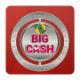 icon Big Cash Pro : Earn Money Guide 2020