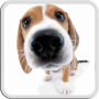 icon DOG LICKS SCREEN LWP FREE