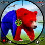icon Wild Bear Animal Shooting Game