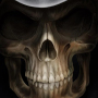 icon Skulls Live Wallpaper
