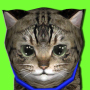 icon Kitty lovely Virtual Pet