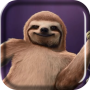 icon Dance of Sloth Live Wallpaper