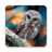 icon Autumn Live Wallpaper 1.0.9