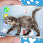icon Cat Walks in Phone Cute Joke