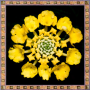 icon Lantana Flowers Onet Game