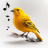 icon Bird Calls 14.1.0