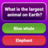 icon Trivia Quiz Game 0.2