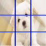 icon Dog Puzzle 2016