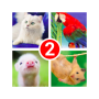 icon Guess the word 2! ~ 4 Pictures