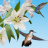 icon Birds Live Wallpaper 30.0.1.7