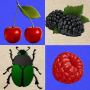 icon Berries and Bugs