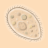 icon SwampWater Live Wallpaper 1.1.0